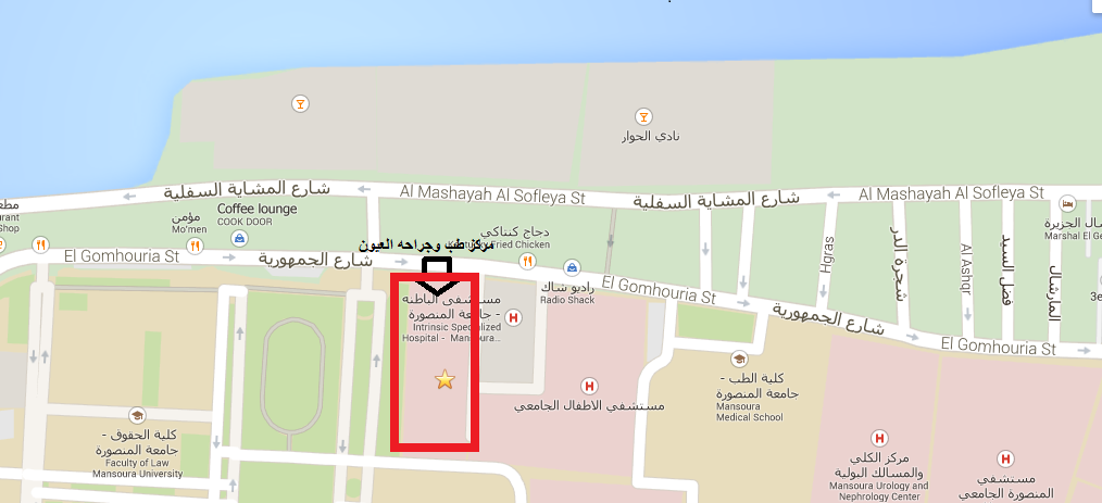 صورة جهة الإتصال