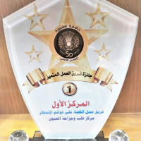 Government Excellence Award